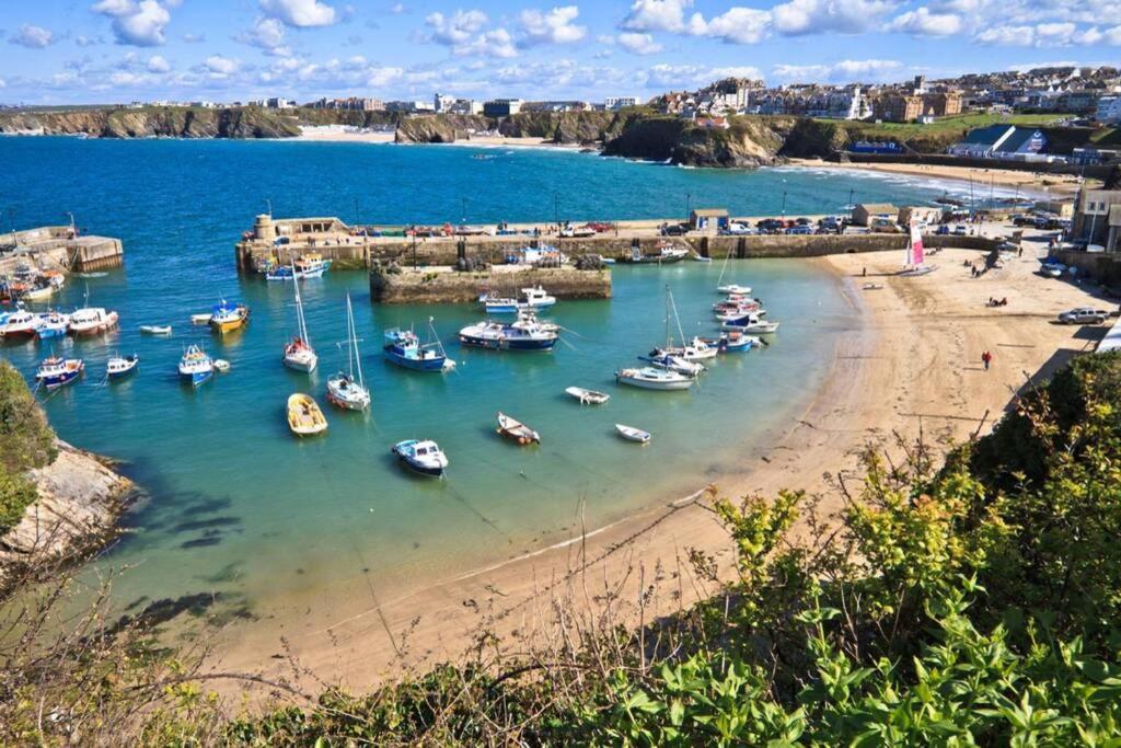 Large 5 Bed 3 Bath House 300 Meters From Beach And Restaurants New Quay エクステリア 写真