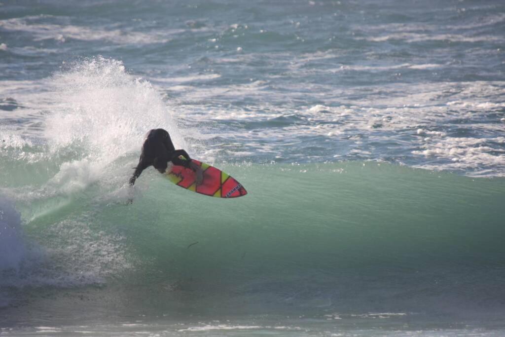 Large 5 Bed 3 Bath House 300 Meters From Beach And Restaurants New Quay エクステリア 写真