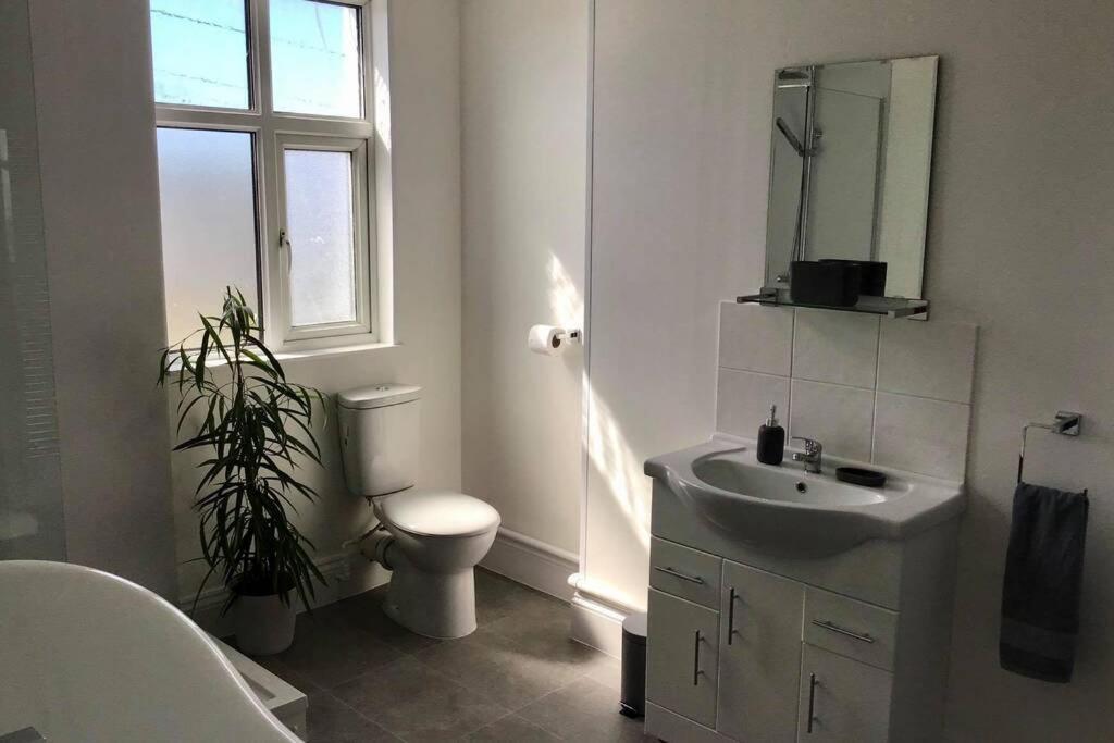 Large 5 Bed 3 Bath House 300 Meters From Beach And Restaurants New Quay エクステリア 写真