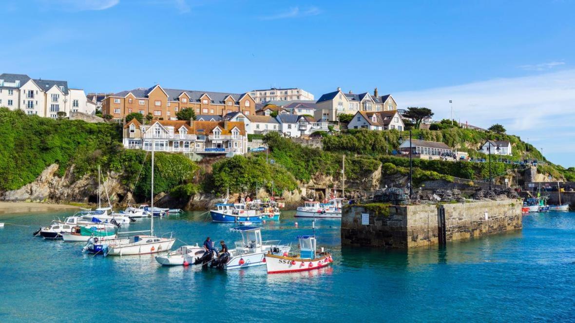 Large 5 Bed 3 Bath House 300 Meters From Beach And Restaurants New Quay エクステリア 写真