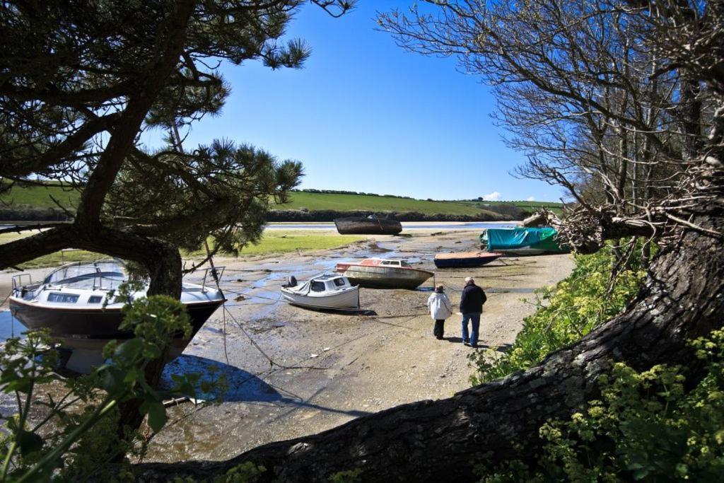 Large 5 Bed 3 Bath House 300 Meters From Beach And Restaurants New Quay エクステリア 写真