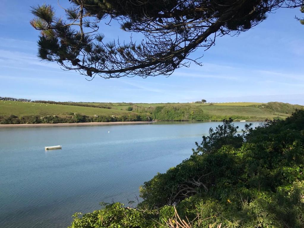 Large 5 Bed 3 Bath House 300 Meters From Beach And Restaurants New Quay エクステリア 写真